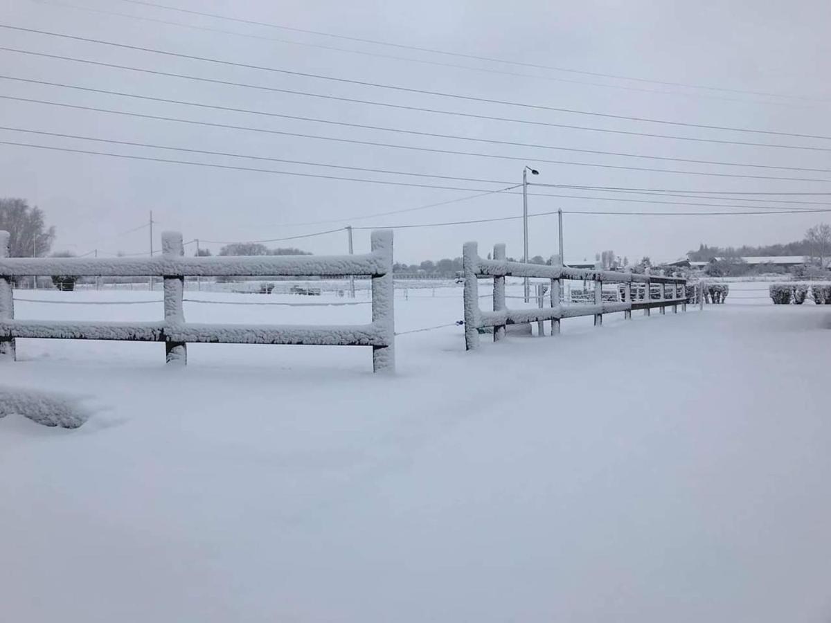 Ferme De La Forterie Verlinghem Εξωτερικό φωτογραφία