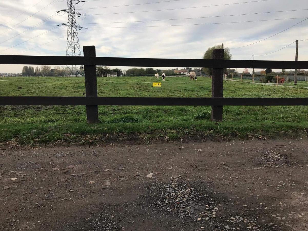 Ferme De La Forterie Verlinghem Εξωτερικό φωτογραφία