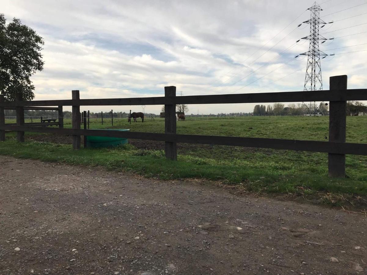 Ferme De La Forterie Verlinghem Εξωτερικό φωτογραφία